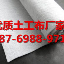 土工格栅 现代工程建设中的隐形守护者